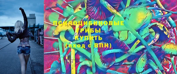 дурь Алзамай