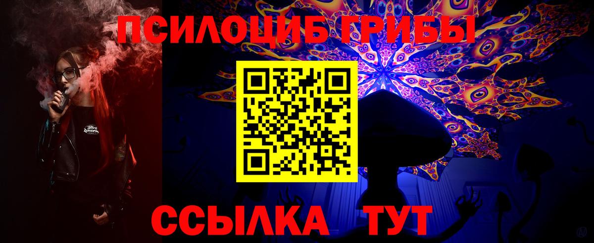 Ярцево  Галлюциногенные грибы Psilocybine cubensis  Вход с VPN 